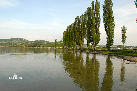 Campings canton de Vaud