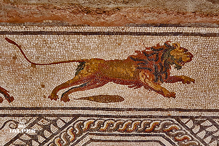 Lion, Mosaïques romaines de Boscéaz, Orbe