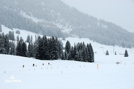 Piste ski de fond, les Mosses